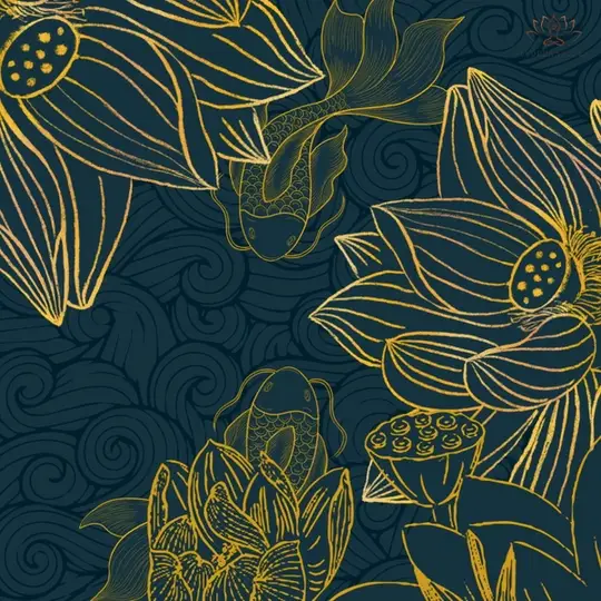 1731397026_98bcd2e1-71c3-447e-95e1-8102b58dbf92_540x