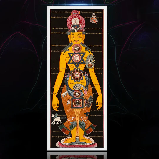 1746958425_40859e97-470c-4efc-a2fd-89a0d50ed6f2_540x