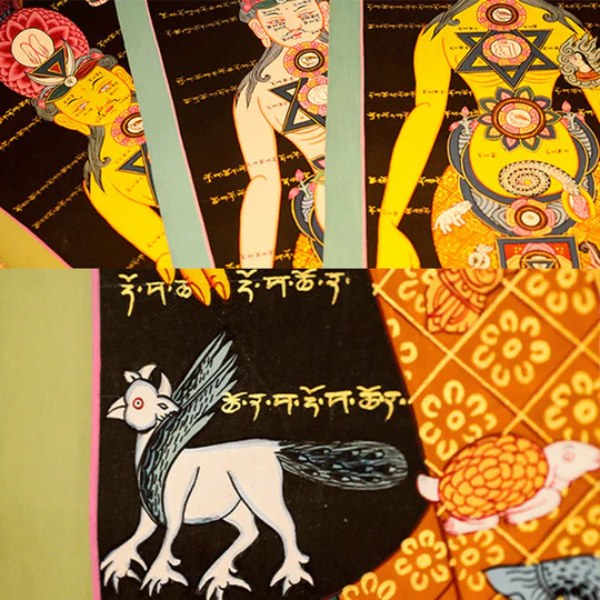 1746958425_86d95892-12fb-4979-baee-648ba6331433_540x