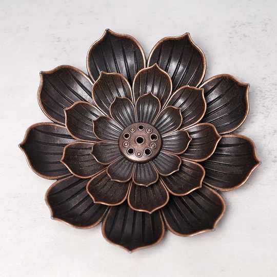 3523e2ea-524c-4e40-a9a2-b4aa140fa5d3_540x