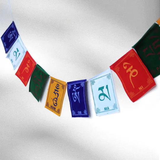 54ab7b26-357c-4342-b5a4-b208323d7bf5_3178555f-3131-4f0b-b3a3-3d6b95dd9c0e_540x